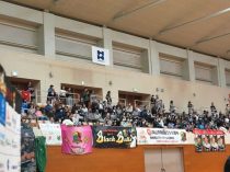 gallery-2026-6