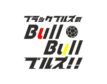 gallery-hit_bulls_logo-min